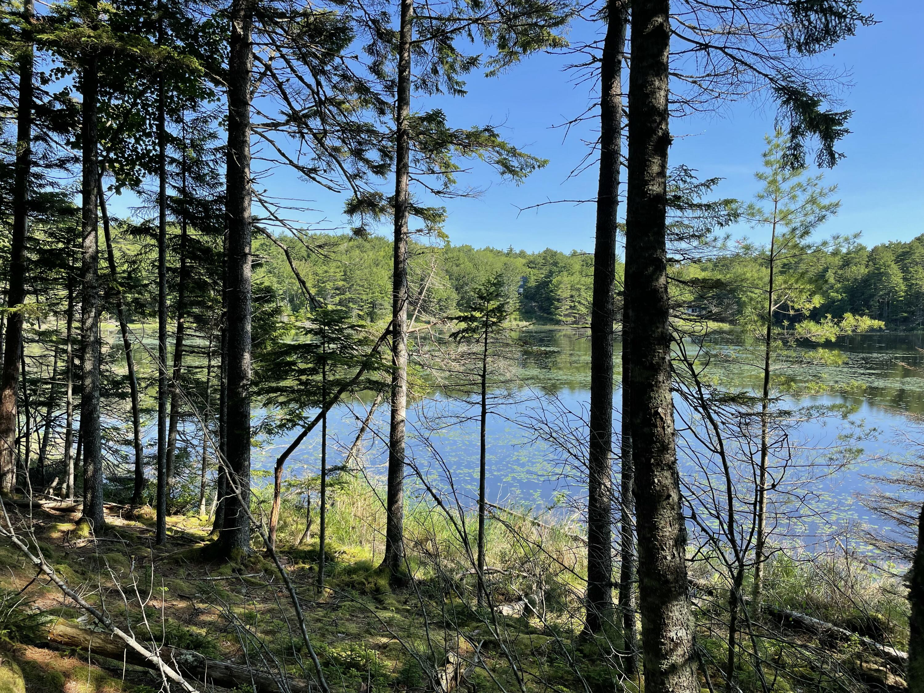 Lot A Red Spruce Way Mount Desert ME 04660