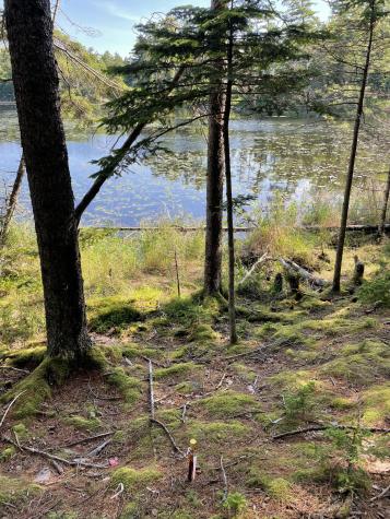 Lot A Red Spruce Way Mount Desert ME 04660