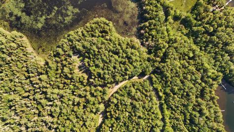 Lot A Red Spruce Way Mount Desert ME 04660