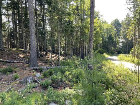 Lot A Red Spruce Way Mount Desert ME 04660