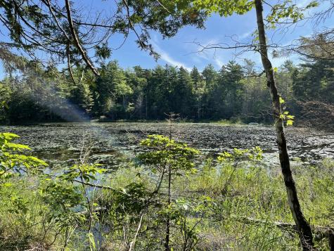 Lot A Red Spruce Way Mount Desert ME 04660