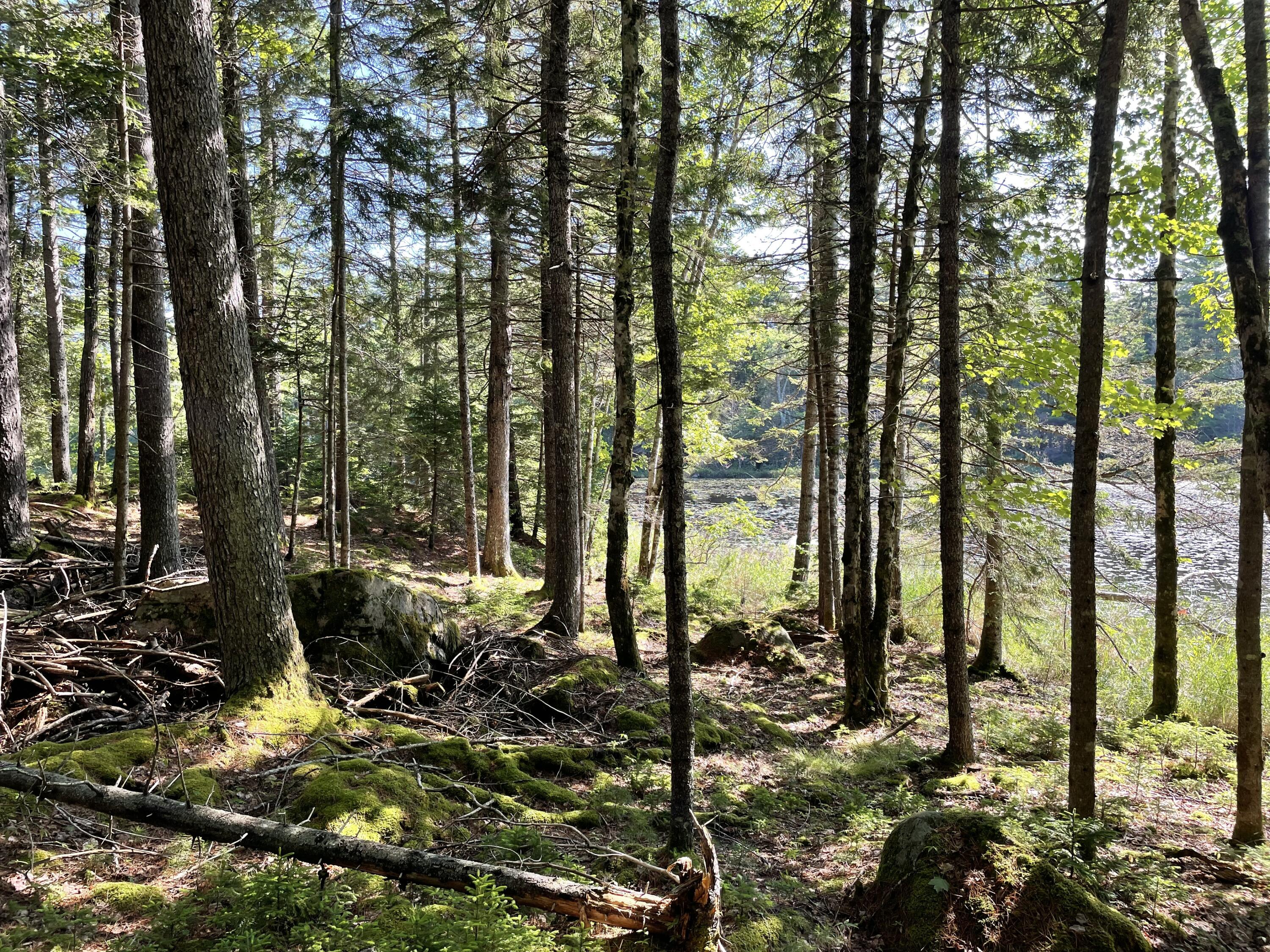 Lot A Red Spruce Way Mount Desert ME 04660