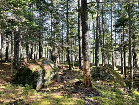 Lot A Red Spruce Way Mount Desert ME 04660