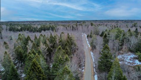 0 Lively Brook Road Whiting ME 04691