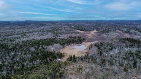 0 Lively Brook Road Whiting ME 04691