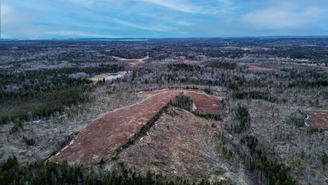 0 Lively Brook Road Whiting ME 04691