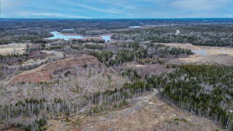 0 Lively Brook Road Whiting ME 04691