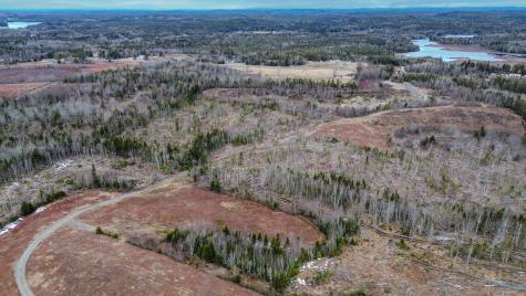 0 Lively Brook Road Whiting ME 04691