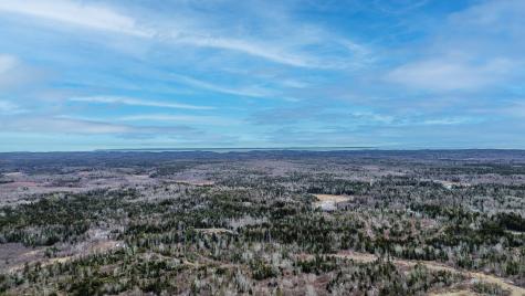 0 Lively Brook Road Whiting ME 04691