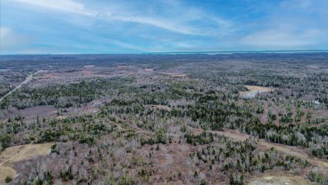 0 Lively Brook Road Whiting ME 04691