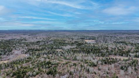 0 Lively Brook Road Whiting ME 04691