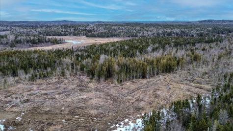 0 Lively Brook Road Whiting ME 04691