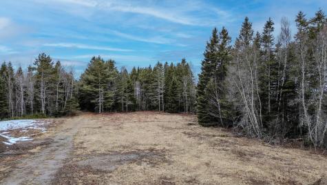 0 Lively Brook Road Whiting ME 04691