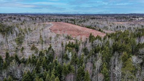 0 Lively Brook Road Whiting ME 04691