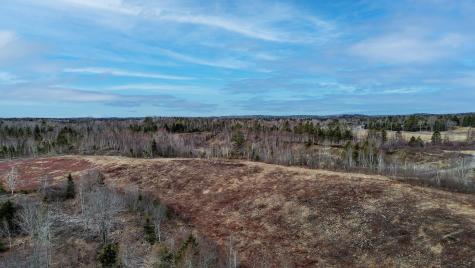 0 Lively Brook Road Whiting ME 04691