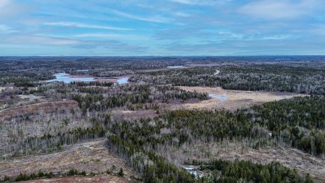 0 Lively Brook Road Whiting ME 04691