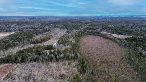 0 Lively Brook Road Whiting ME 04691