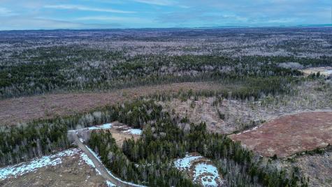 0 Lively Brook Road Whiting ME 04691