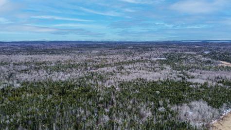 0 Lively Brook Road Whiting ME 04691