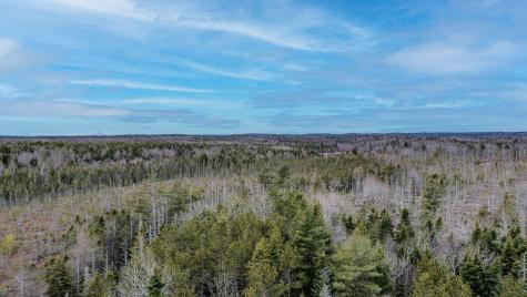 0 Lively Brook Road Whiting ME 04691