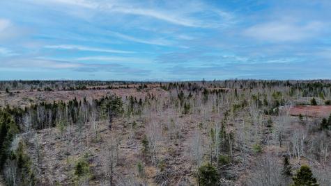 0 Lively Brook Road Whiting ME 04691