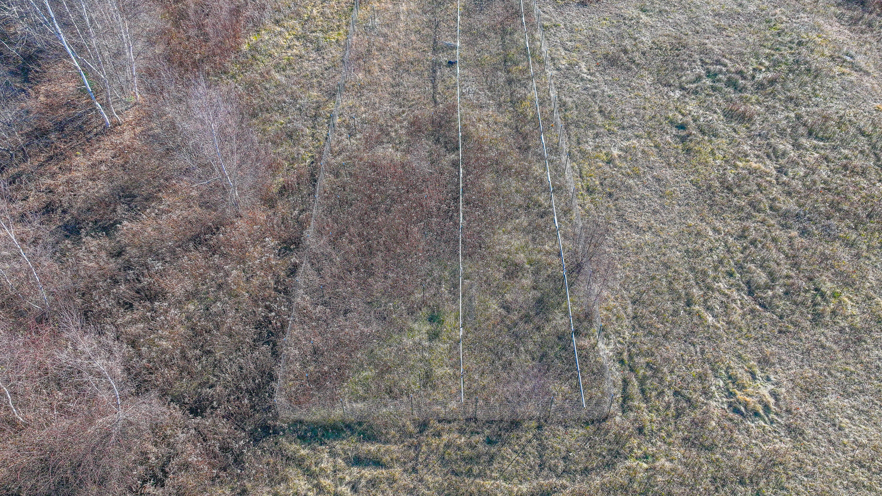 Lot 3 & 4 Kitridge Road Sumner ME 04292