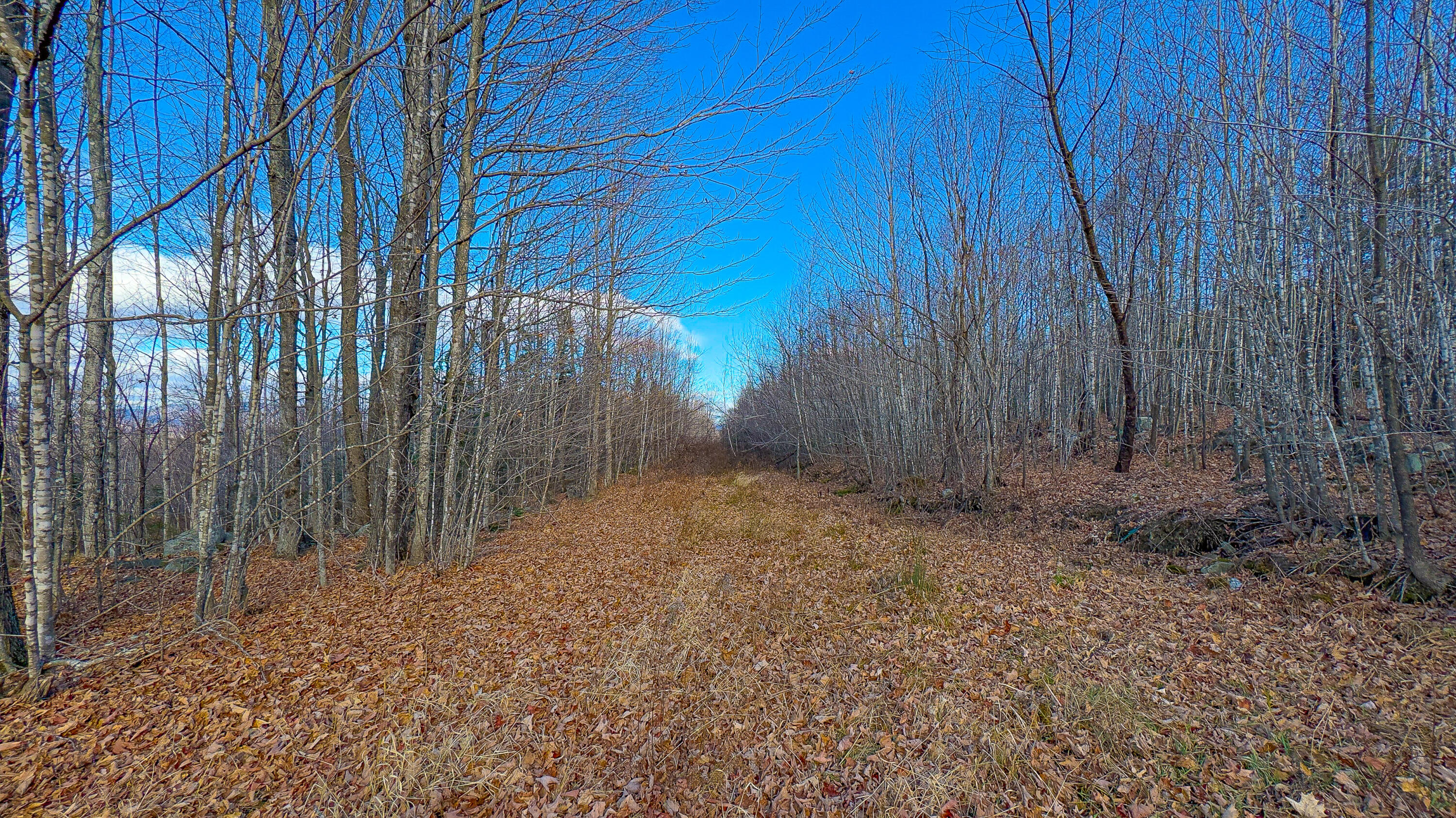 Lot 3 & 4 Kitridge Road Sumner ME 04292