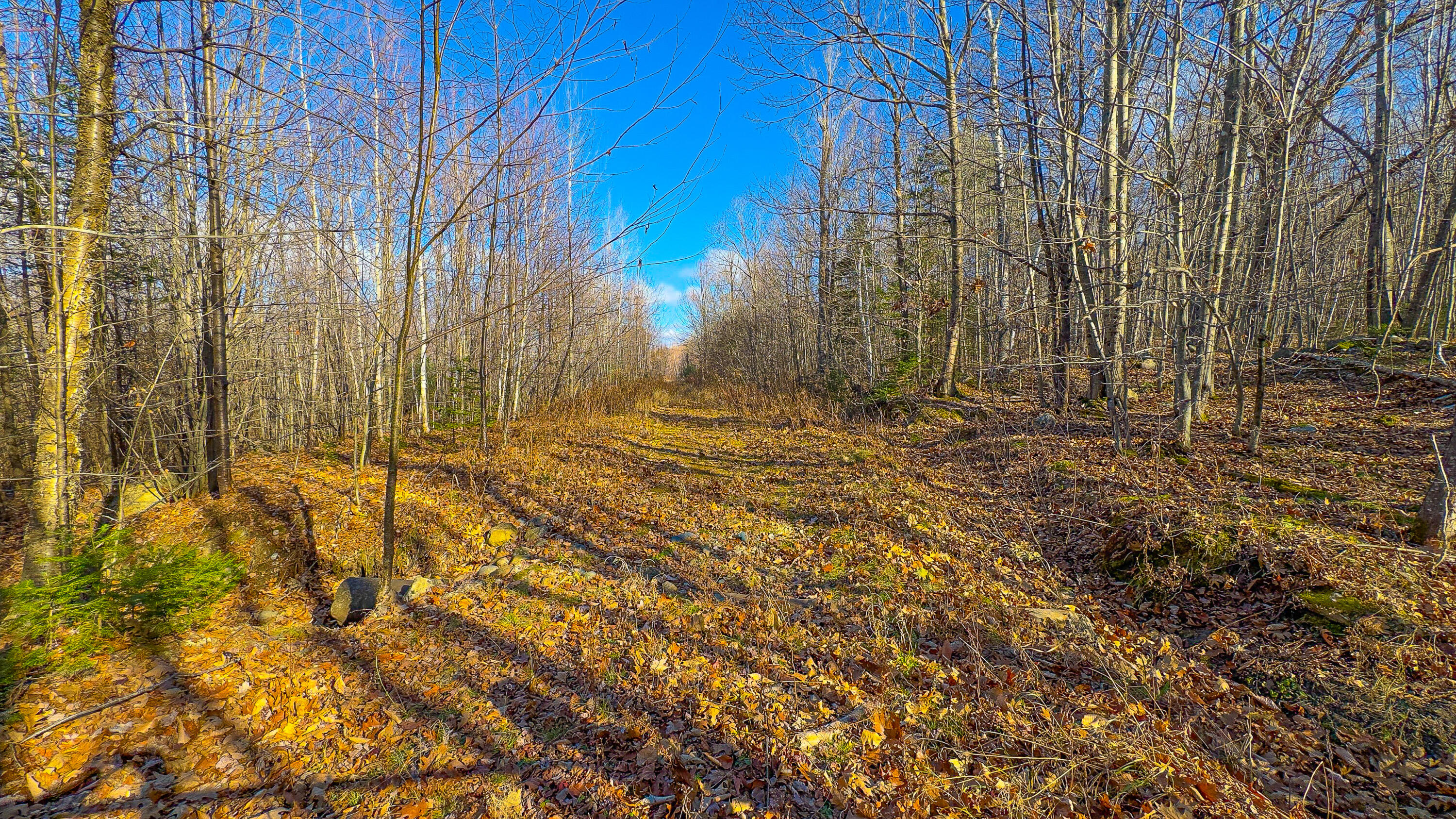 Lot 3 & 4 Kitridge Road Sumner ME 04292