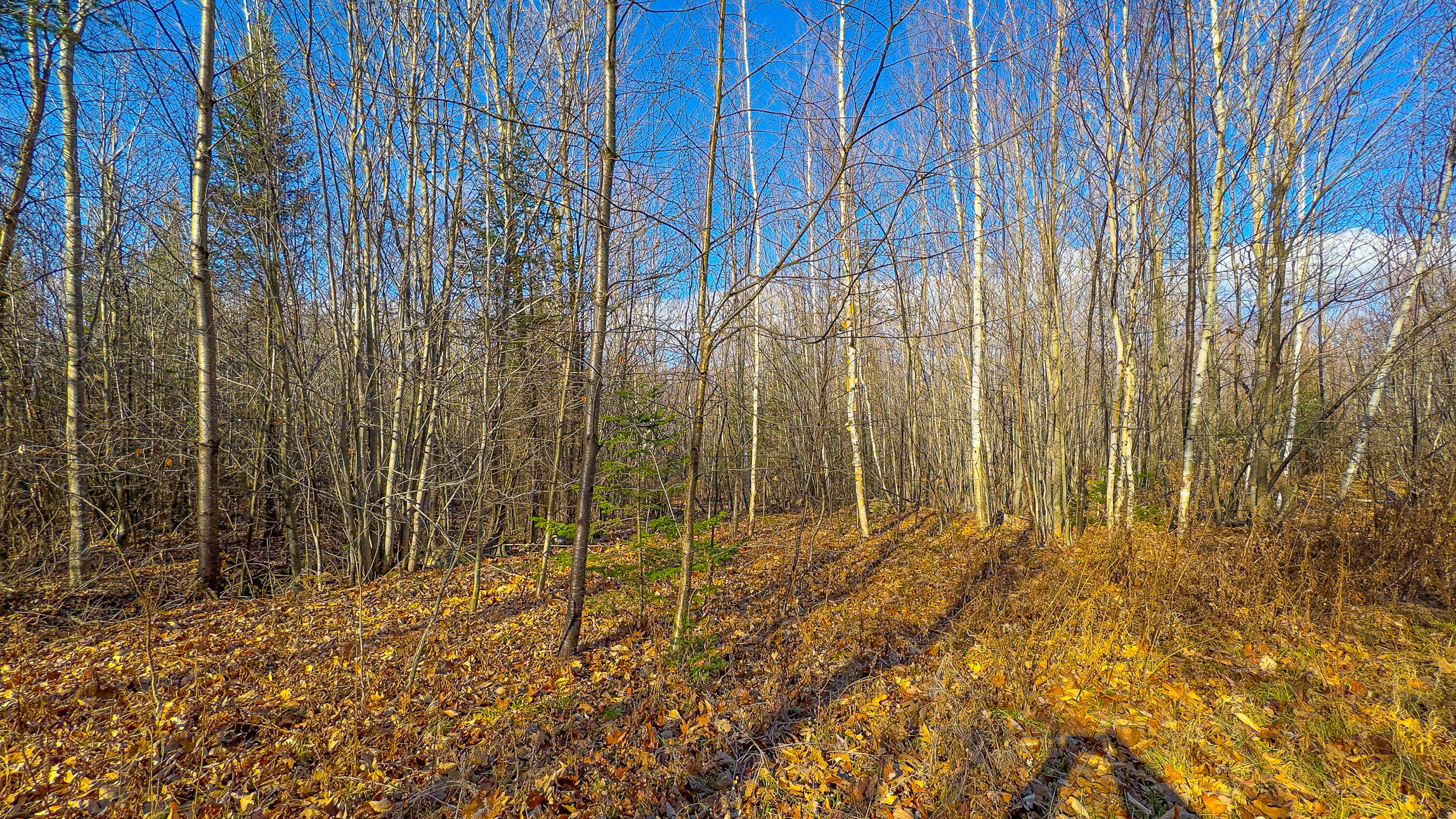 Lot 3 & 4 Kitridge Road Sumner ME 04292