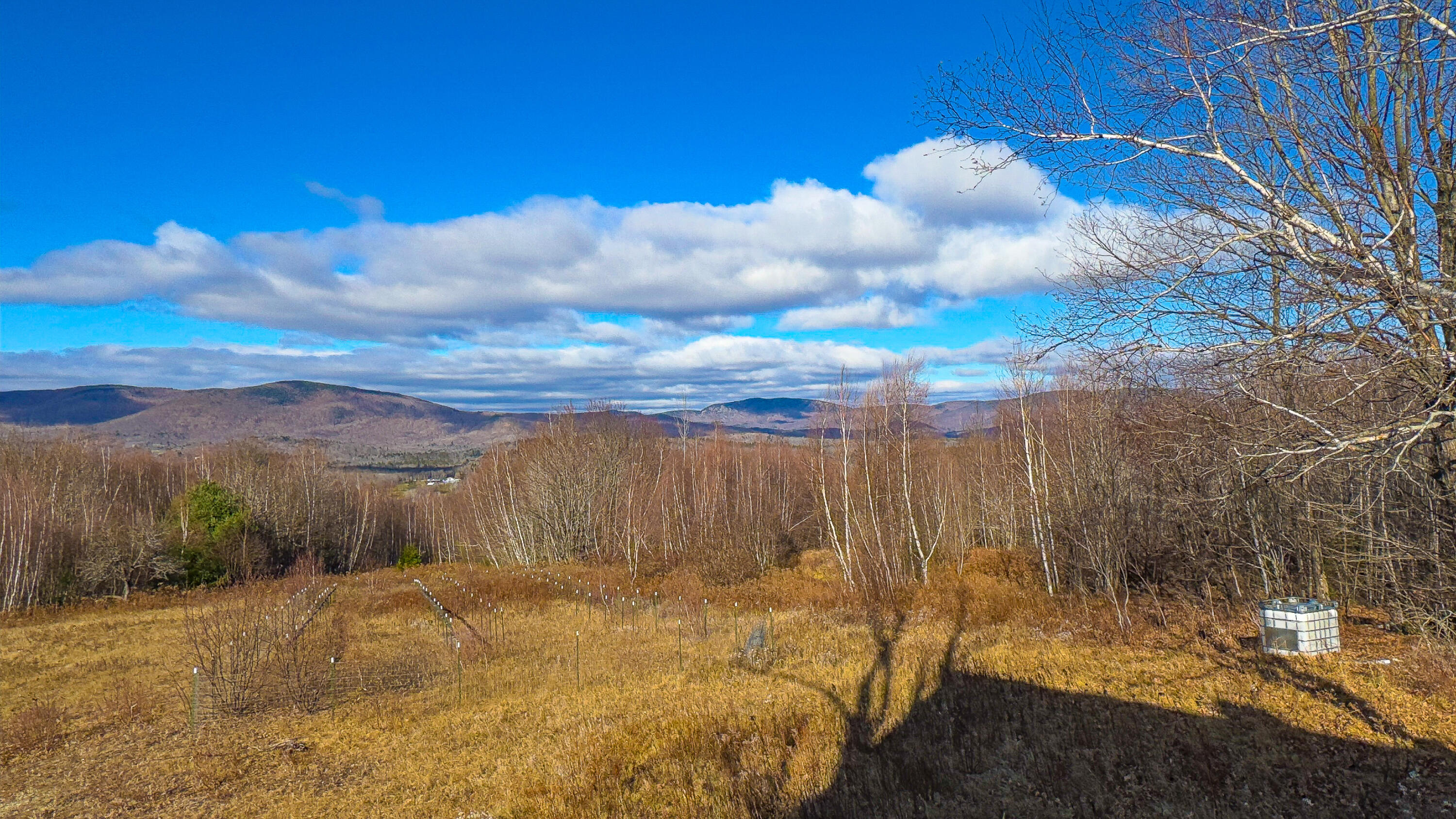 Lot 3 & 4 Kitridge Road Sumner ME 04292