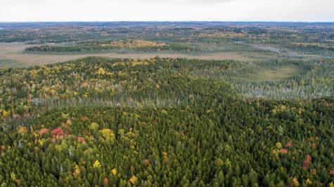 15-2 Carson Lane Whiting ME 04691