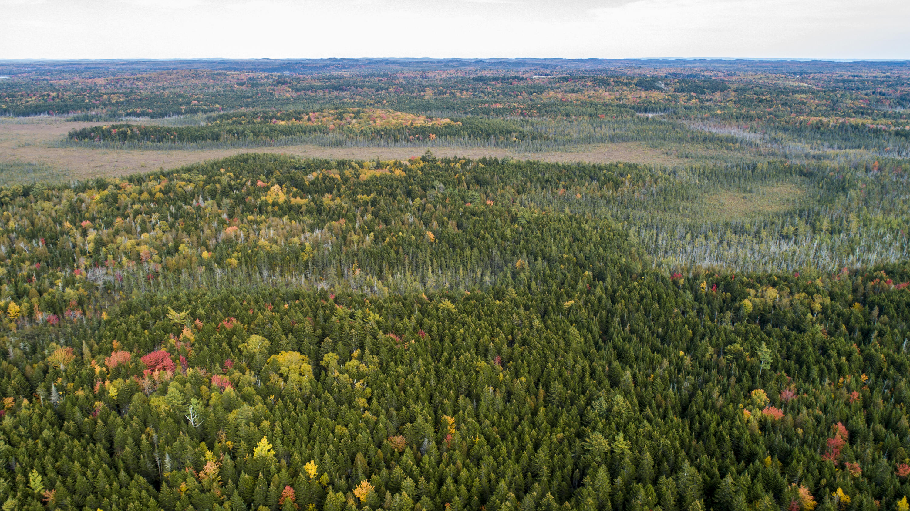 15-2 Carson Lane Whiting ME 04691