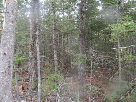 Rt 180 Rebel Hill Road Clifton ME 04428