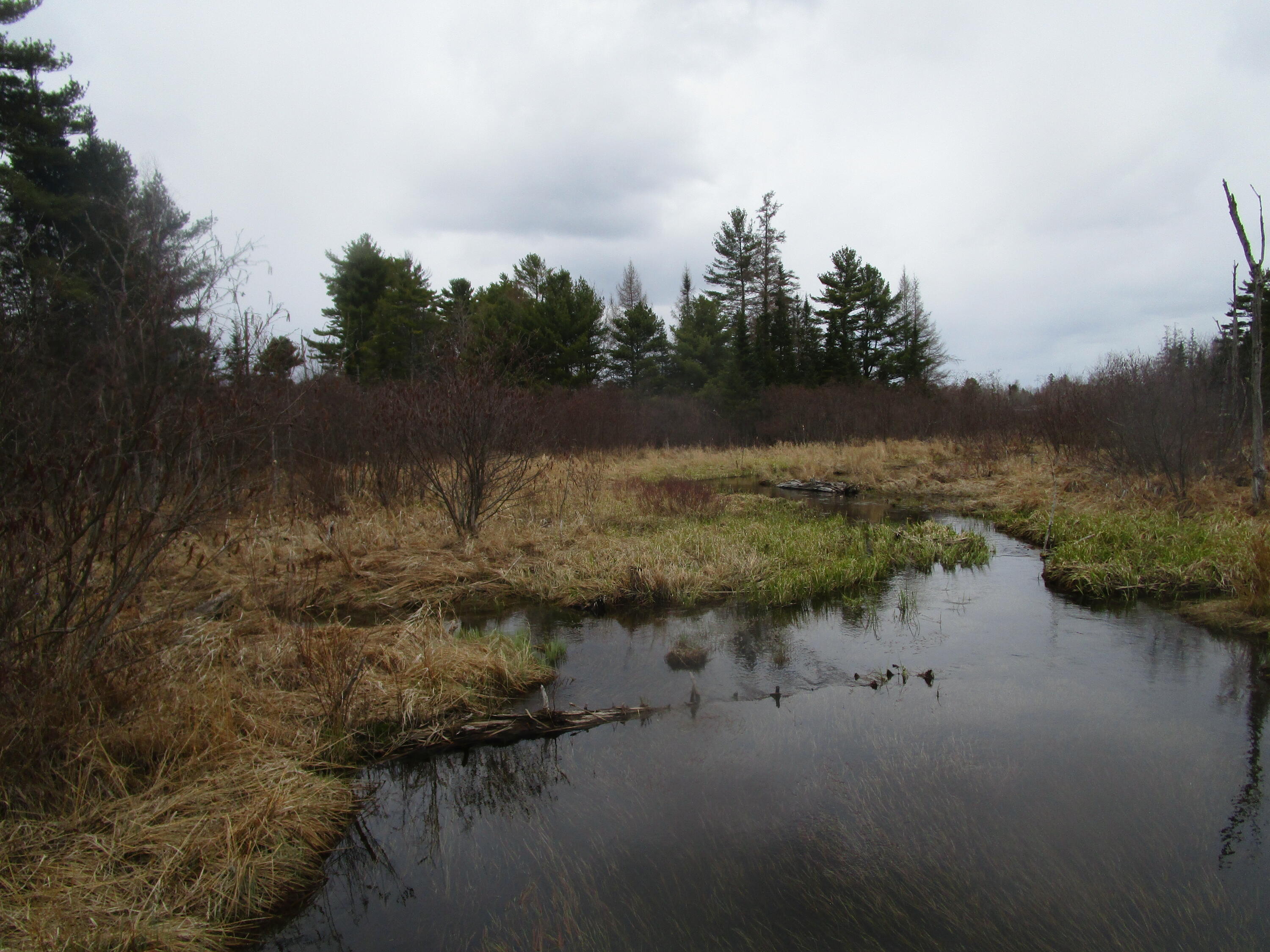 Rt 180 Rebel Hill Road Clifton ME 04428