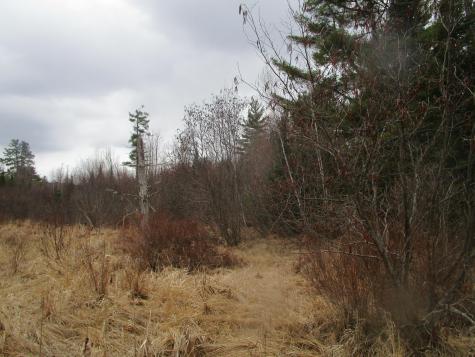 Rt 180 Rebel Hill Road Clifton ME 04428