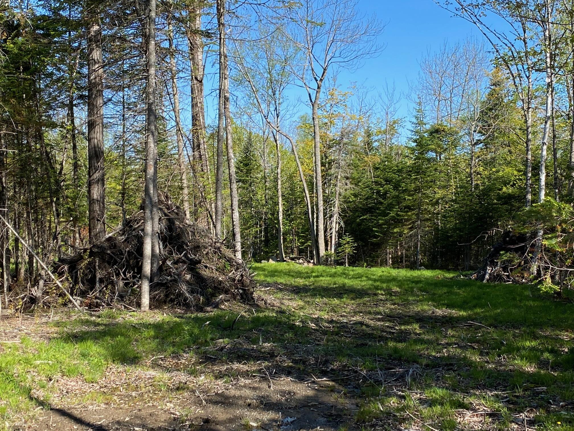 Greenville ME, 2 Tumbledown Lane