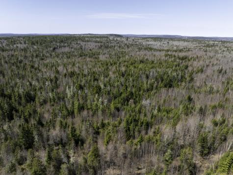 00 S River Road Calais ME 04619