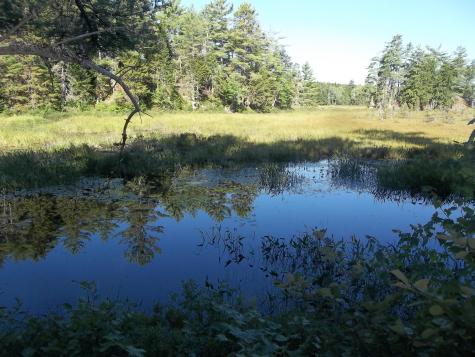 Lot 12 Hayward Point Road Day Block Twp ME 04654