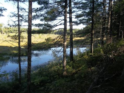Lot 12 Hayward Point Road Day Block Twp ME 04654