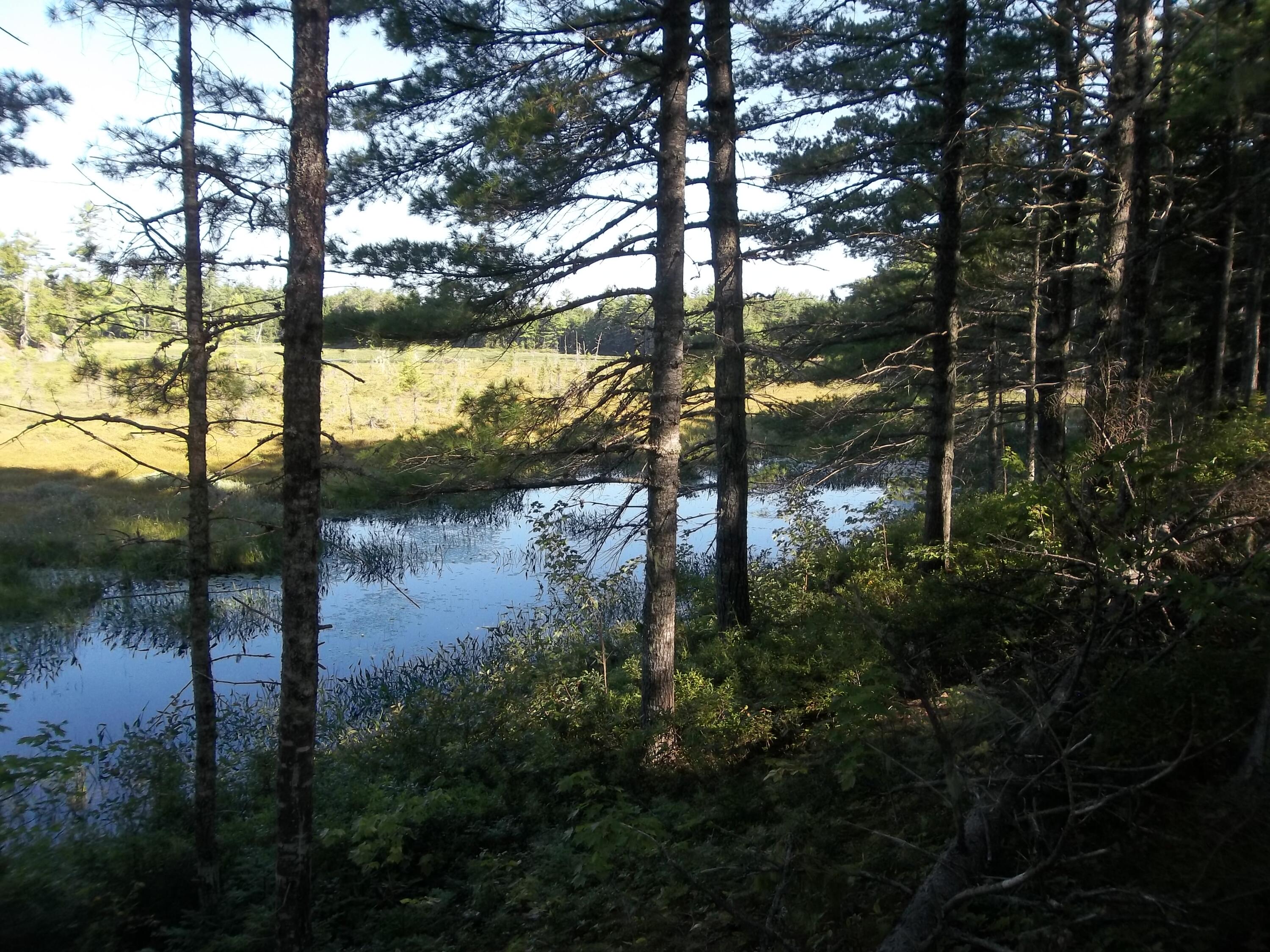 Lot 12 Hayward Point Road Day Block Twp ME 04654