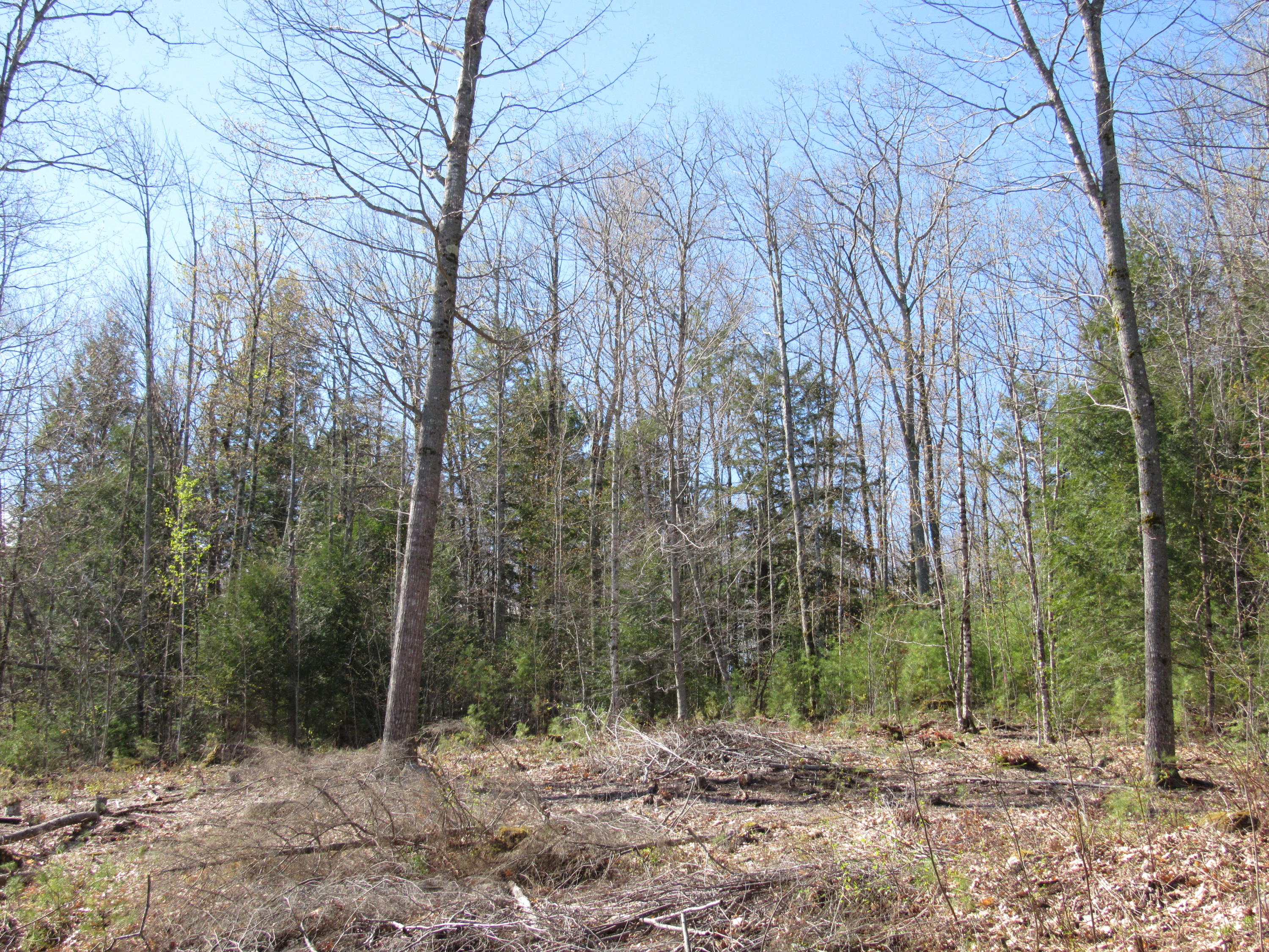 Tbd North Road Mount Vernon Maine Real Estate Listing MLS 1485860