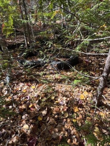 Lot 3A West Old Main Road Lowell ME 04493