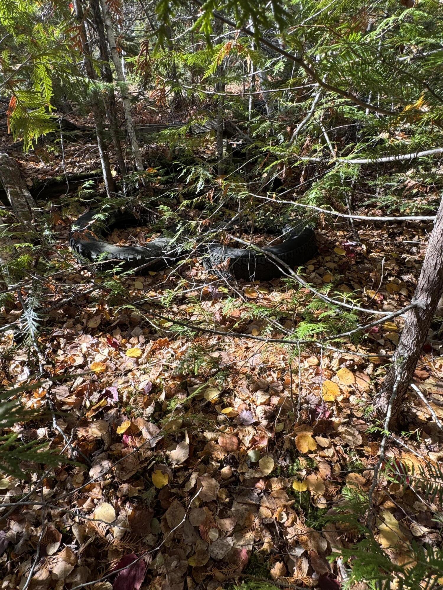 Lot 3a West Old Main Road Lowell ME 04493