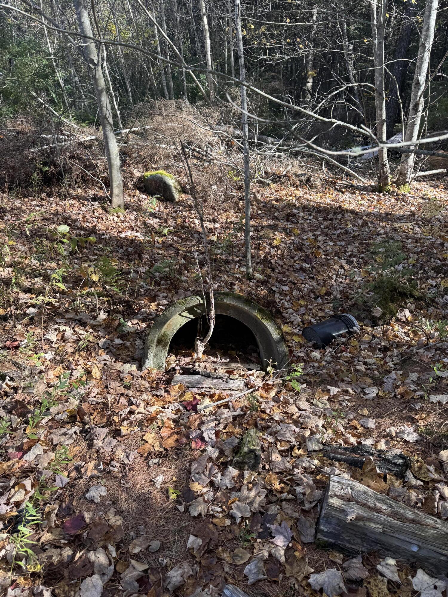 Lot 3a West Old Main Road Lowell ME 04493