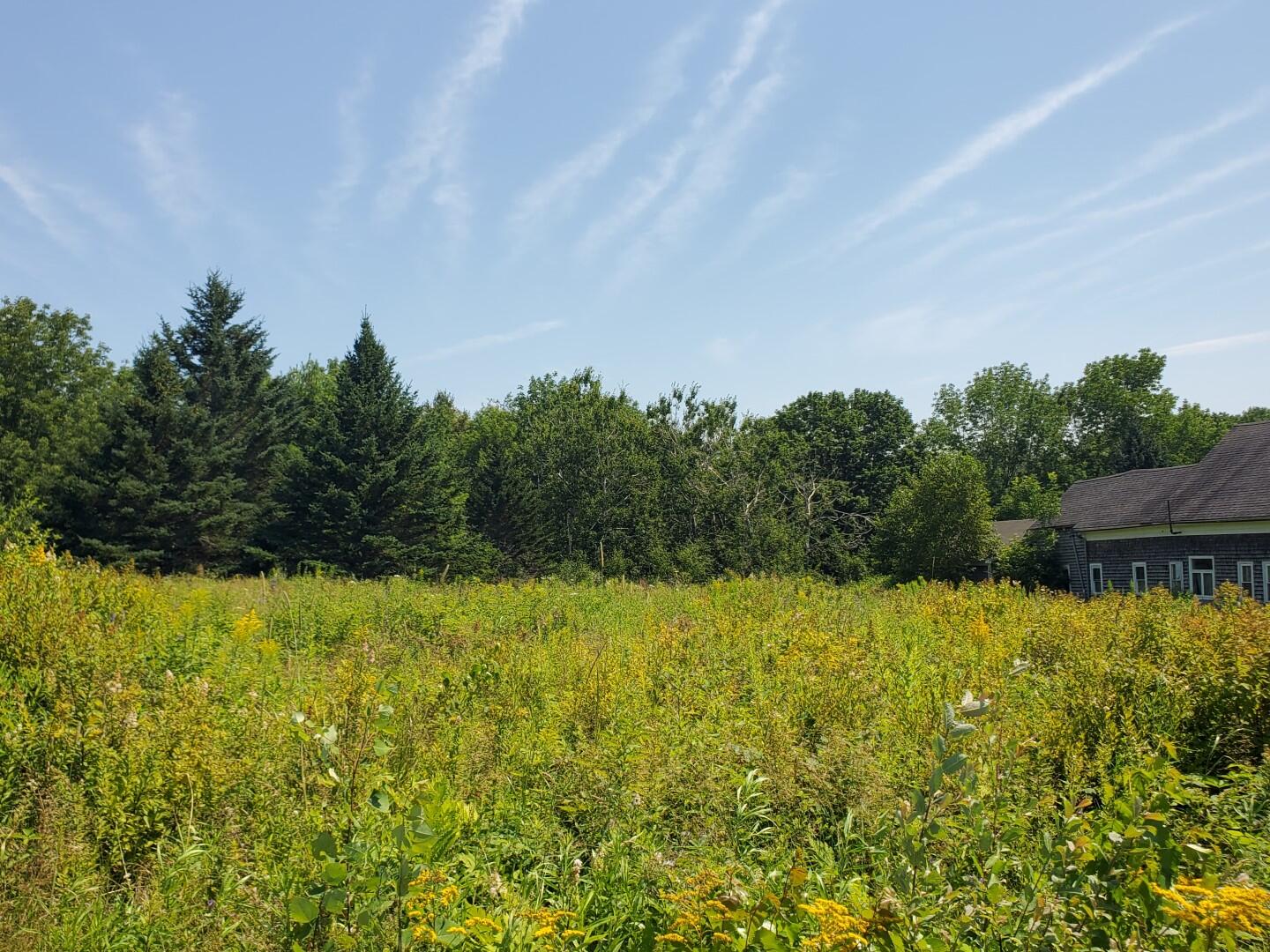 343 W Main Street Searsport ME 04974