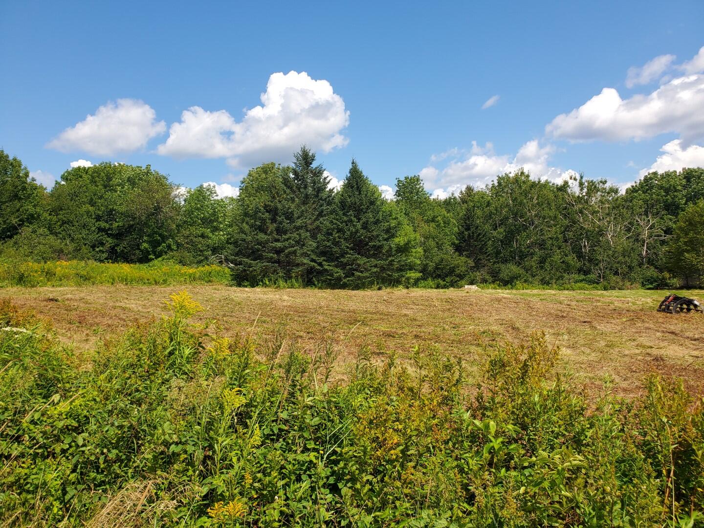 343 W Main Street Searsport ME 04974