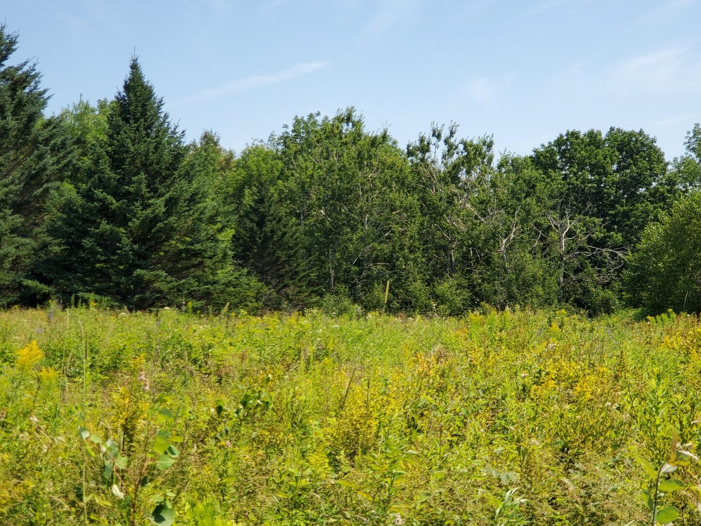 343 W Main Street Searsport ME 04974