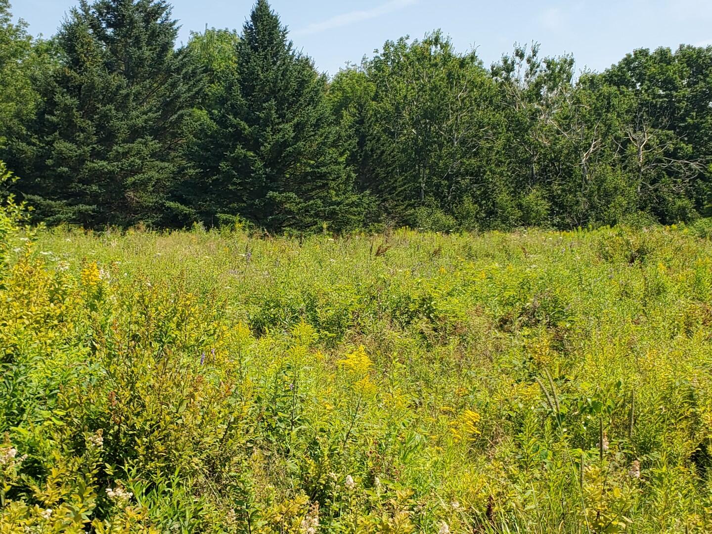 343 W Main Street Searsport ME 04974