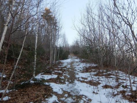 0 Hatchet Mountain Road Hope ME 04847