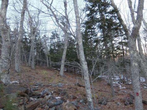 0 Hatchet Mountain Road Hope ME 04847